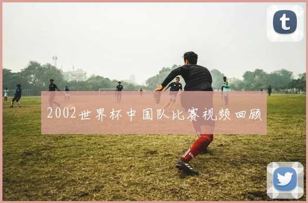 2002世界杯中国队比赛视频回顾